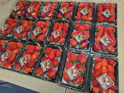 PXL_20250402_040530524 - コピー