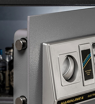 Electronic Digital Safe