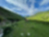 Uzak_Pasture_Chui.jpeg