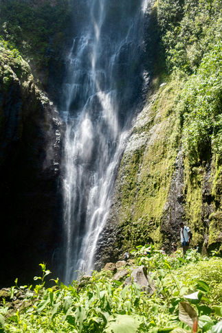 Man stands next to a waterfall in Costa Rica