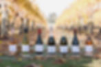 All bottles in vines MCHL19.jpg