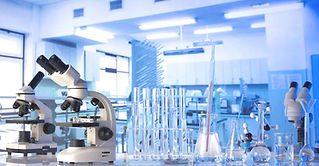 labs 1.jpg