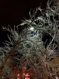 Ice Storm 2