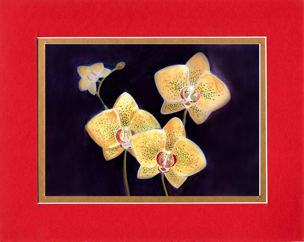 Thumbnail: Tiger Orchids