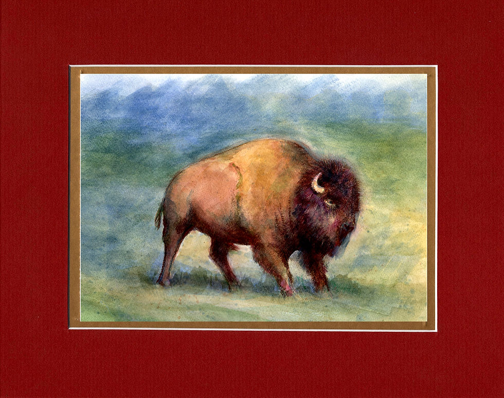 Thumbnail: Bison 2020