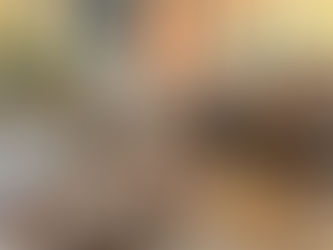 Transform Your Yard This Fall: Expert Fall Lawn Care & Maintenance for a Stunning Autumn Look!