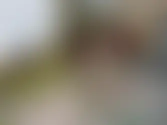 5 Shocking Signs Your Yard Desperately Needs a Drainage System (How a French Drain Could Be Your Solution)