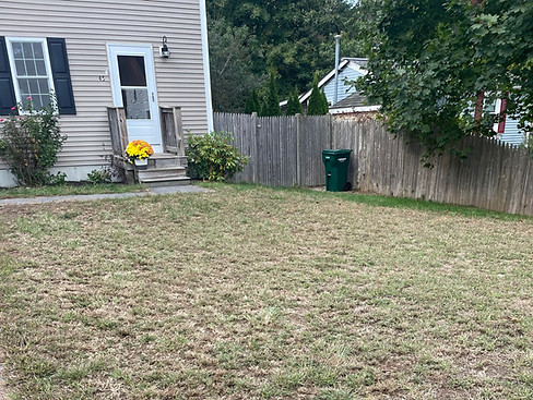 Crab Grass 1.jpg