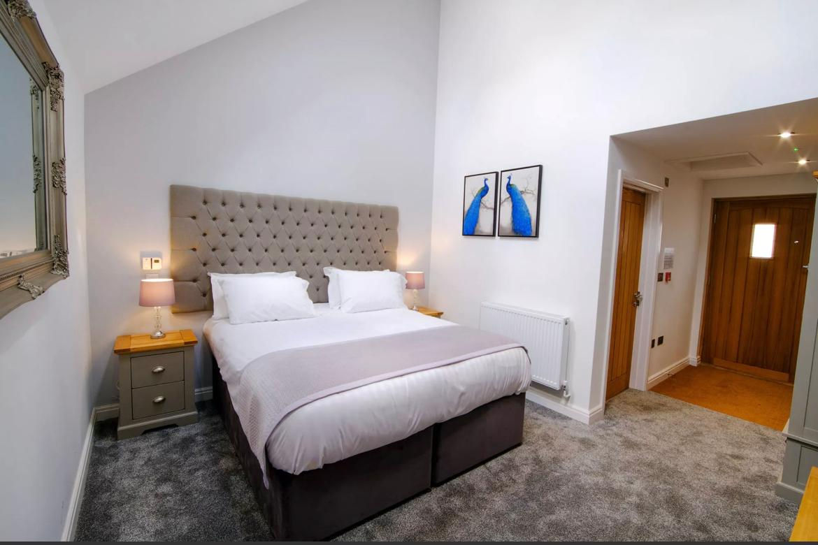 The Warren - Executive Room