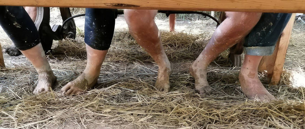 Ueber uns_Hintergrund