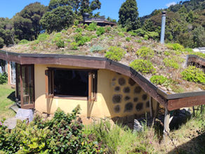 Blühende Dachbegrünung mit extensiver Bepflanzung auf alternativem Wohnhaus