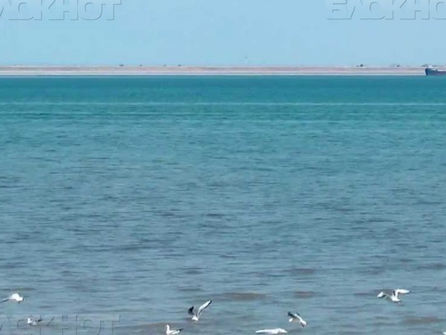 В ближайшие дни подпорный уровень Цимлянского моря превысит максимум