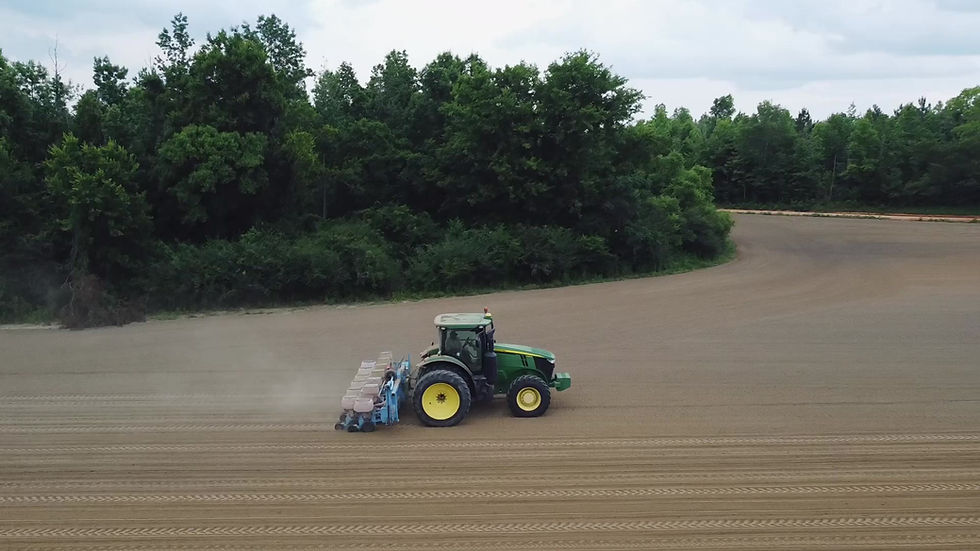 Ball Farms Green Peanuts Peanuts 3403 Sapp Road, Cottondale, FL, USA