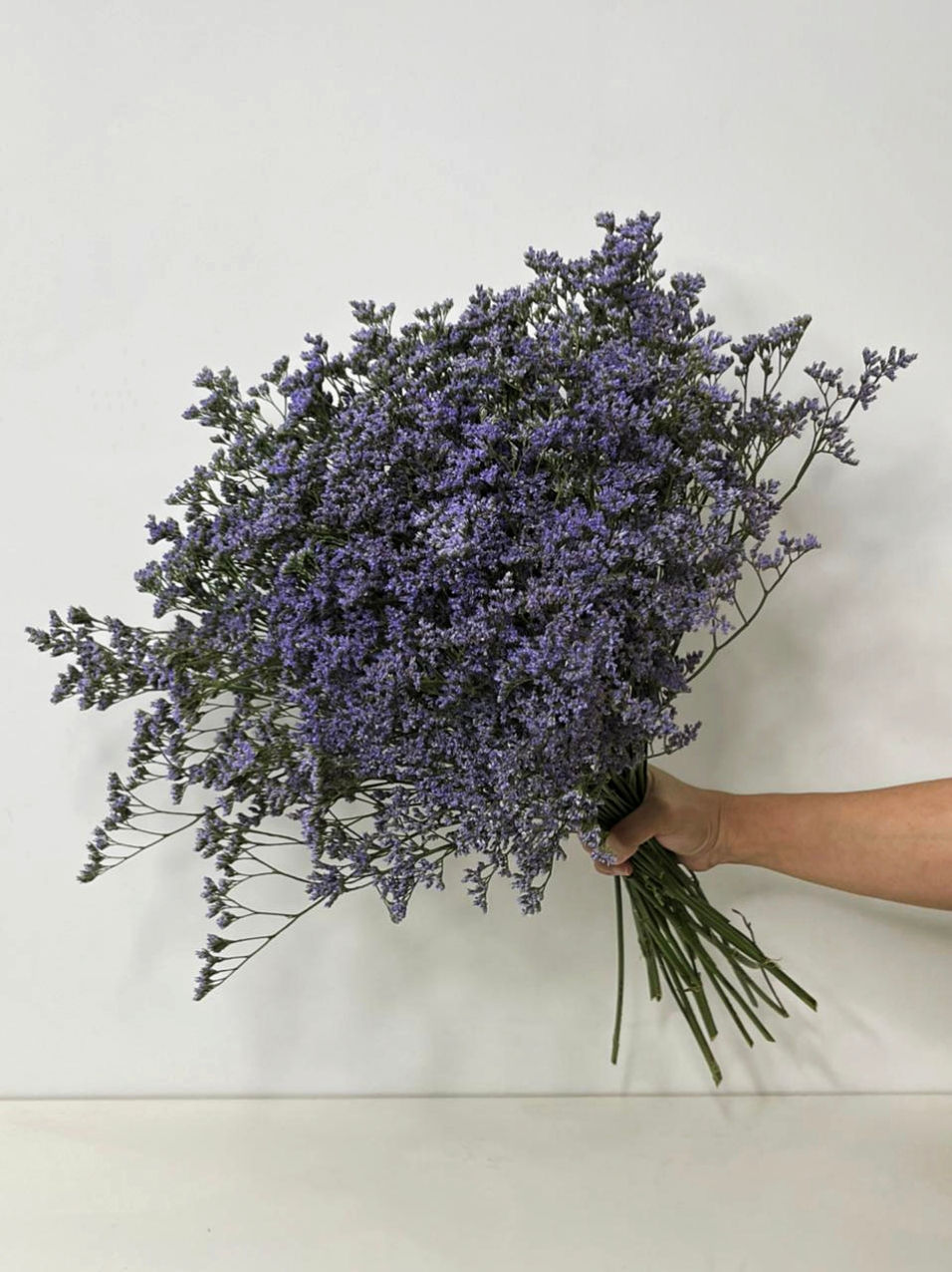 الصورة المصغرة: Bunch of Purple Limonium