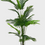 الصورة المصغرة: Decorative Artificial Areca Palm 180cm