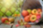 apples-1776744.jpg