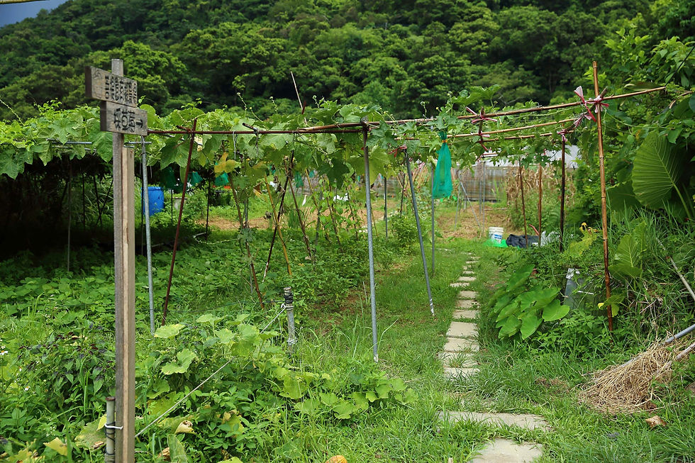 菩提園有機農場