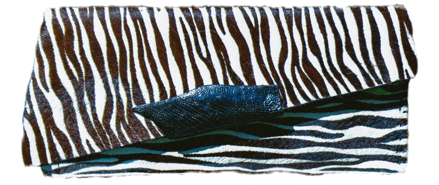 Zebra Clutch