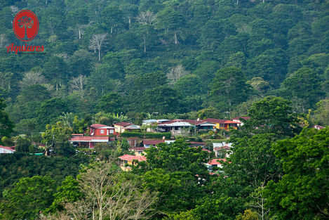 Acquires Estate in Costa Rica