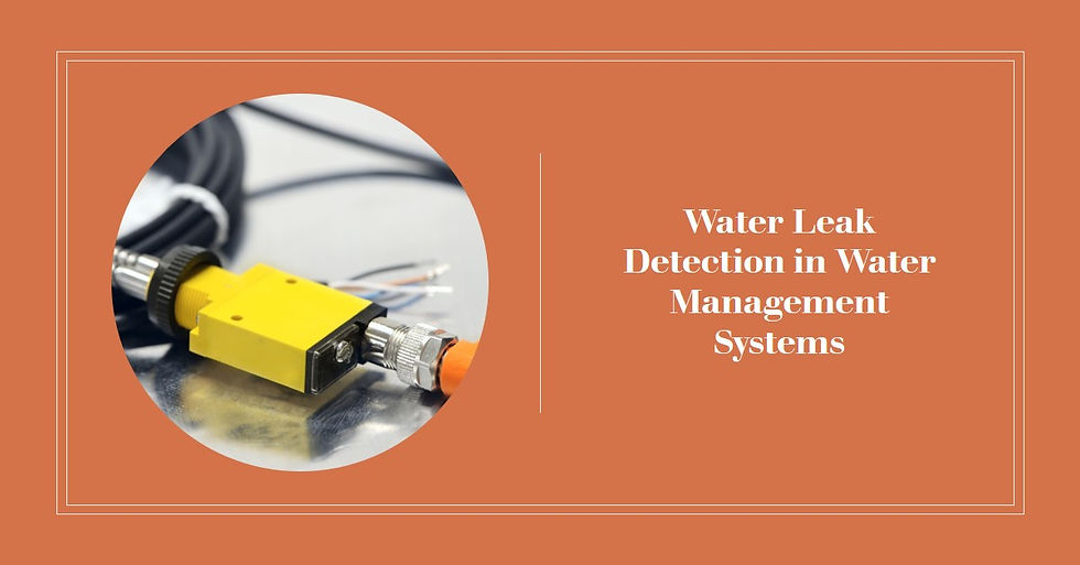 What Role Does Water Leak Detection Play in Water Management Systems?