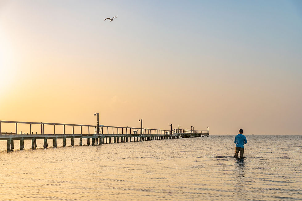 Coast Life: The Reel 'Em Inn Guide to Rockport