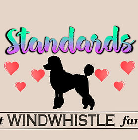 Windwhistle Farm