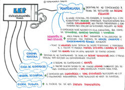lep 4