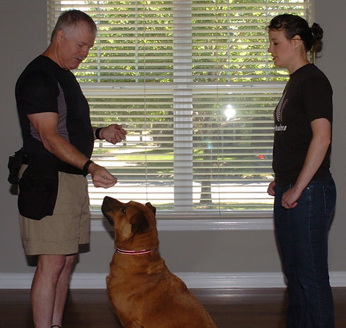 I'm showing Megan how to lure Red using treats guiding the nose