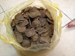 Thumbnail: Keropok Keping