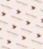 eagle-eye-ministries-pattern-1_edited.jpg