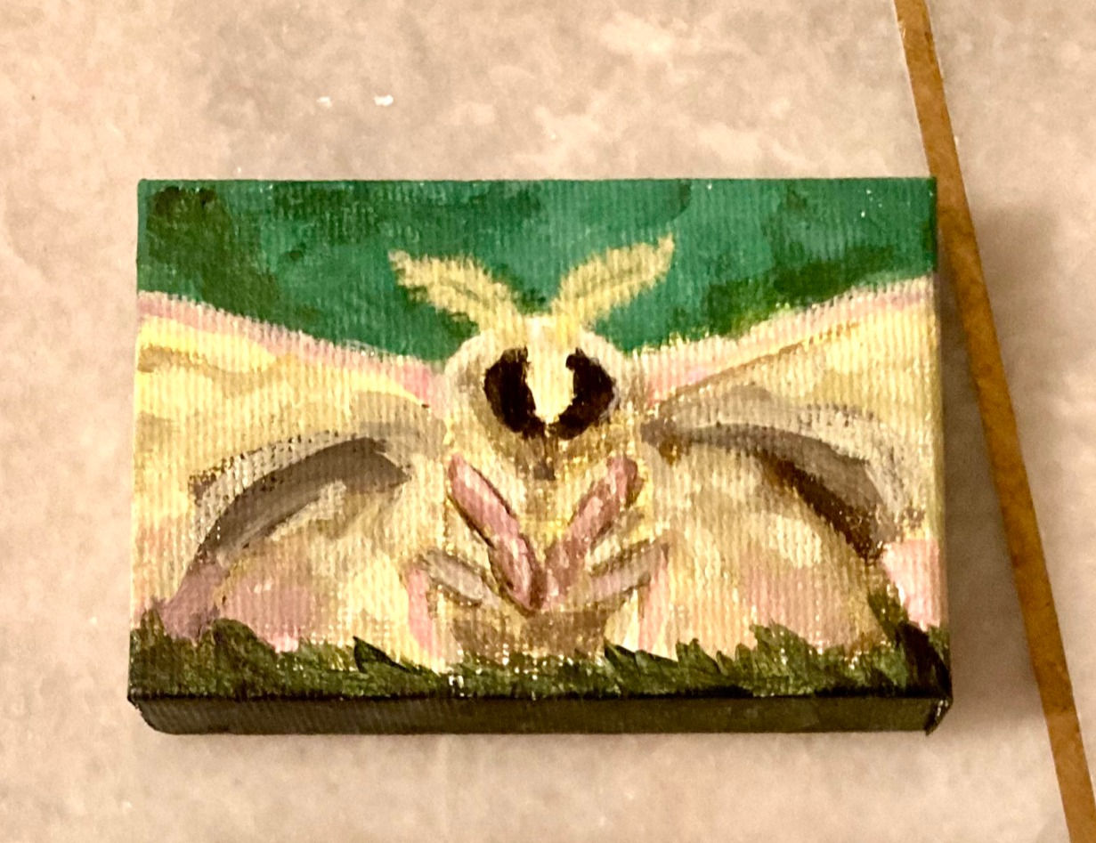 SOLD - Tiny Painting of a Moth
