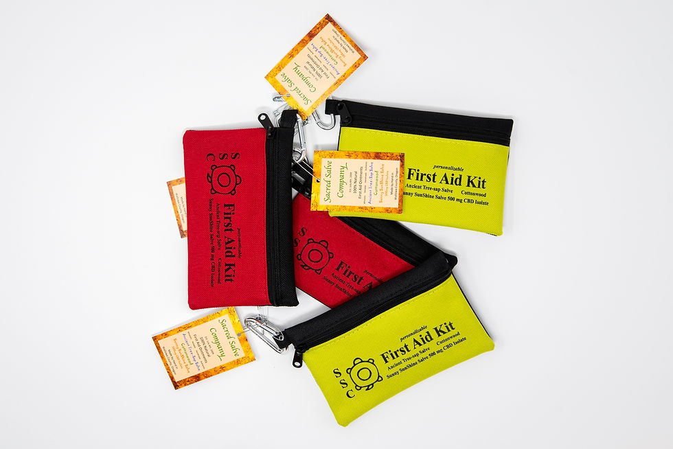 Thumbnail: Totes for keeping all your needed items in one place