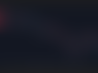 Playbook: Bidvest Ltd