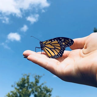 Espiritismo é religião? O que é o Espiritismo?