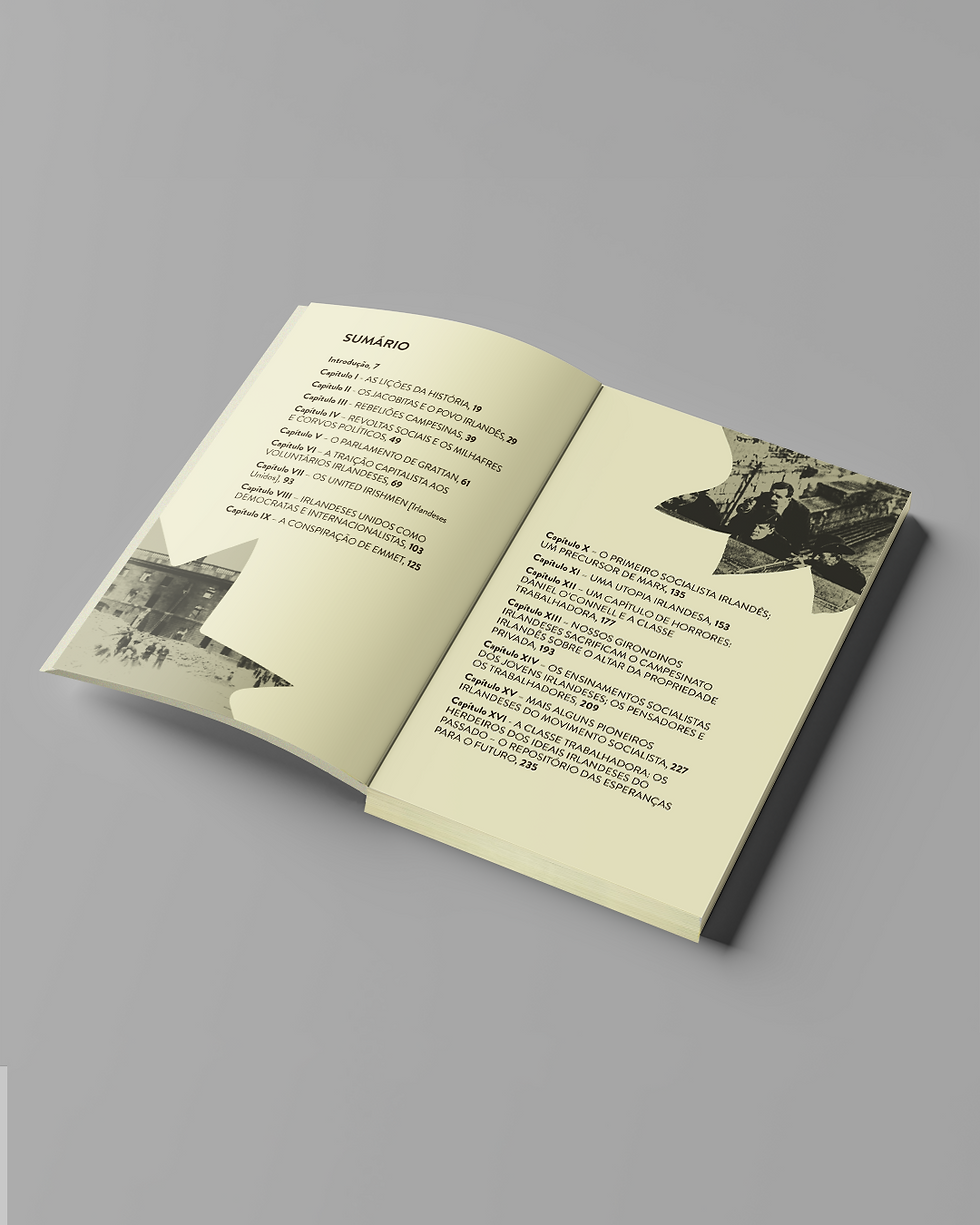 Miniatura: O Trabalho na história irlandesa