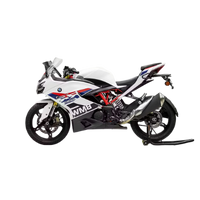 g310r.png
