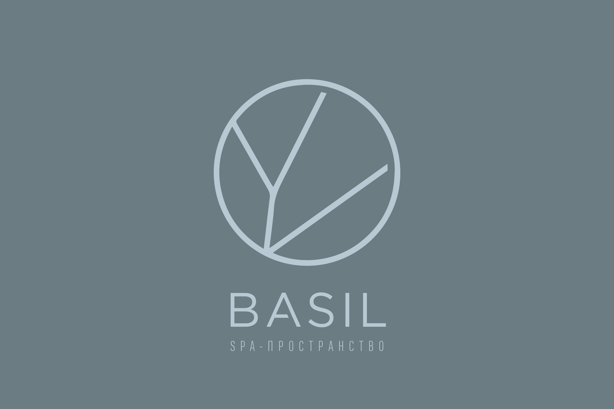 SPA-пространство «BASIL»