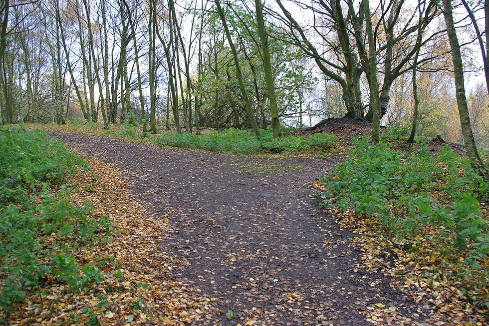 May Monthly Meeting: Social & Nature Walk
