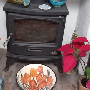 HAVE YOUR SAY: save householders from "woodstove regret"