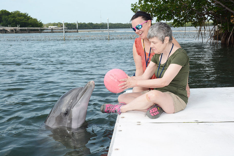 FL Keys Dolphins - Apr 2017.jpg