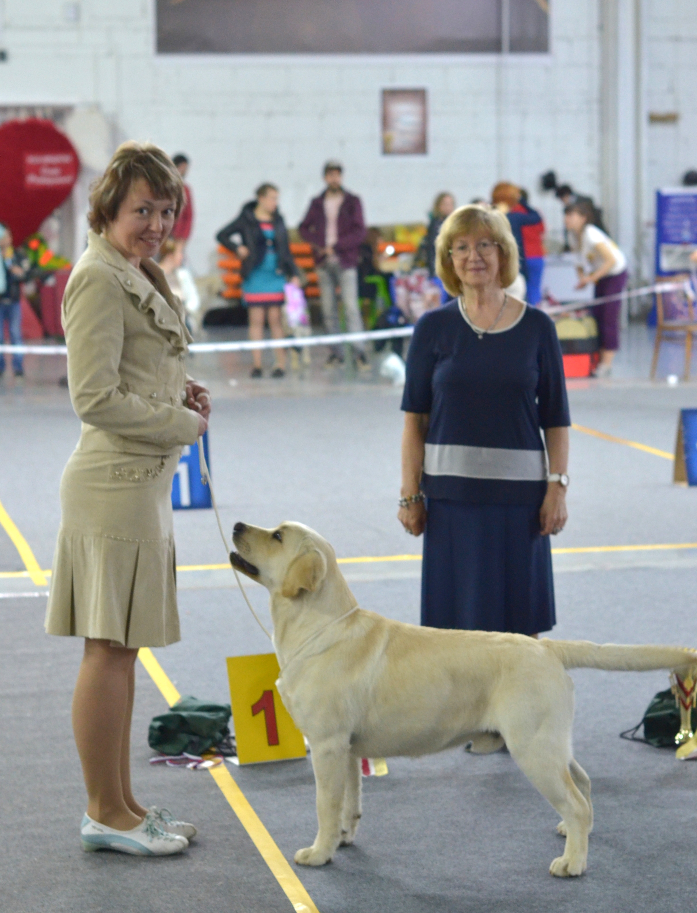 Monobreed dog show 15.05.2017