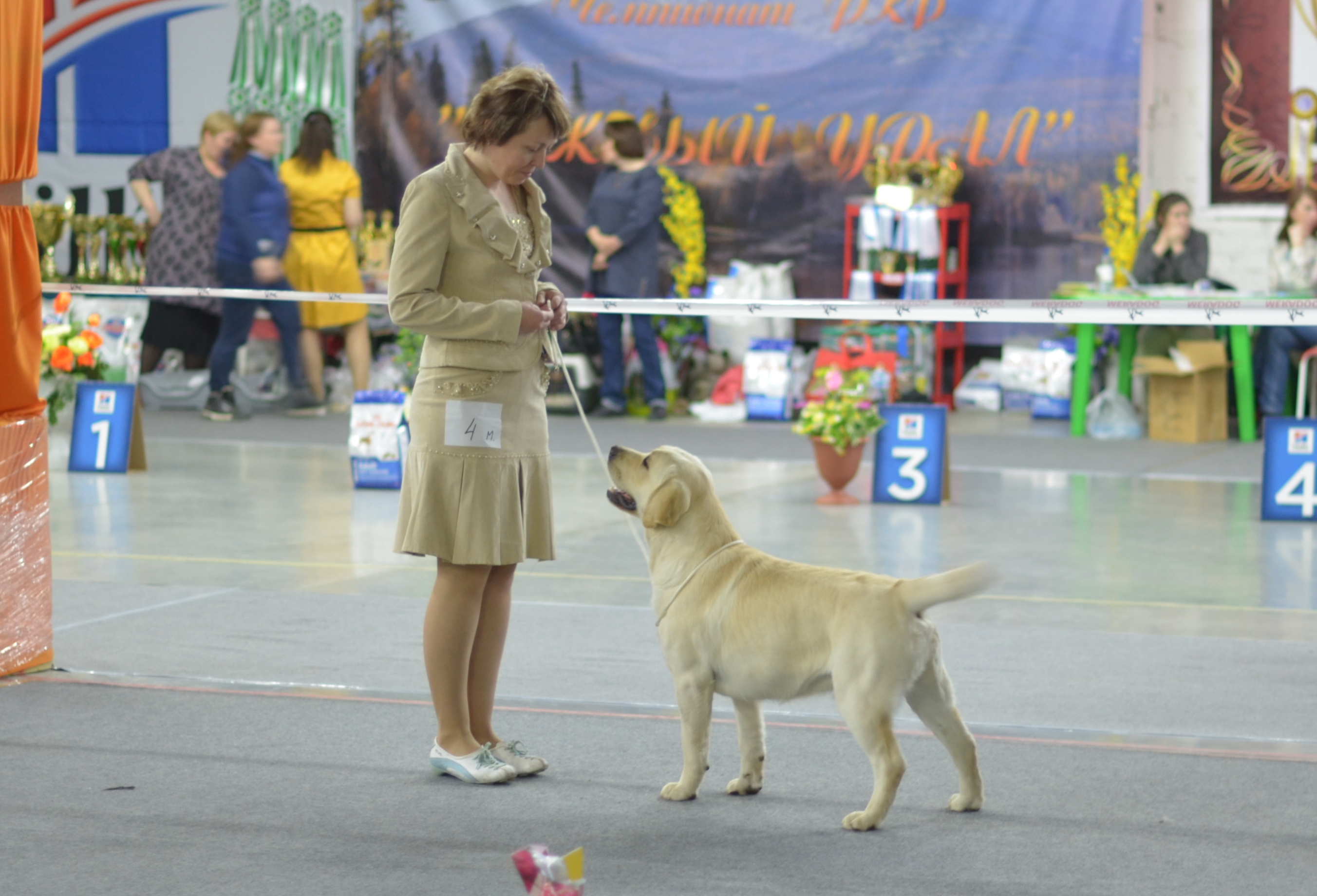 Monobreed dog show