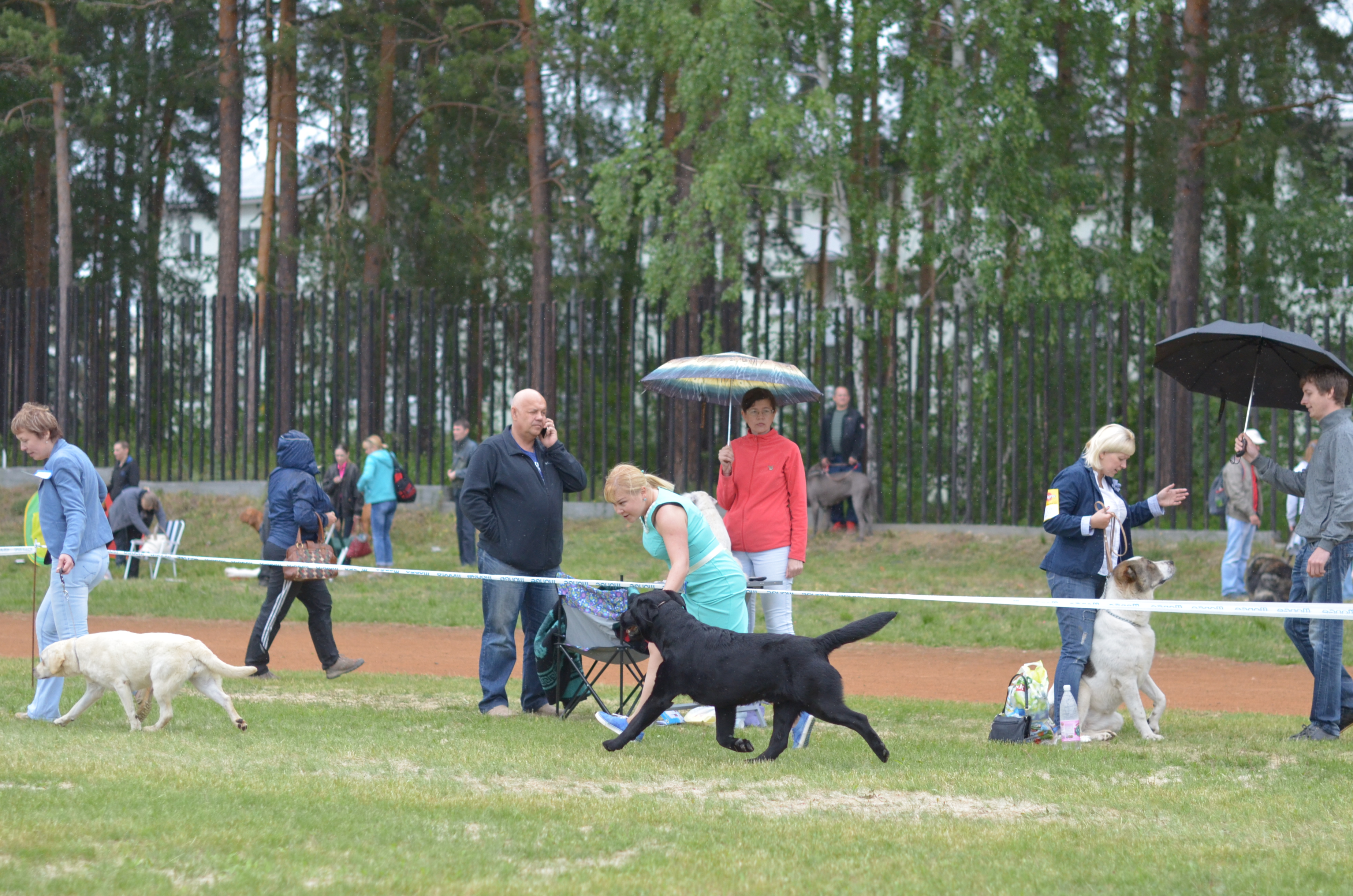 Чемпионат РКФ г.Заречный 12.06.2016
