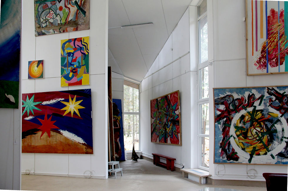 Проект частной картинной галереи. Интерьер.