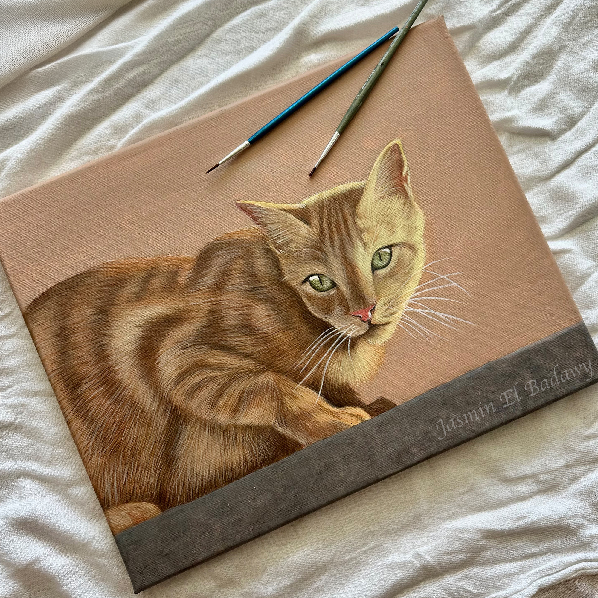 Golden Cat