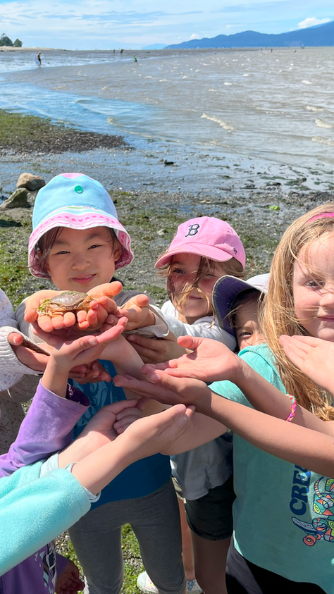 SeaSmart Camp and Online Programs!