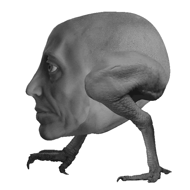 VoaBStransp.gif