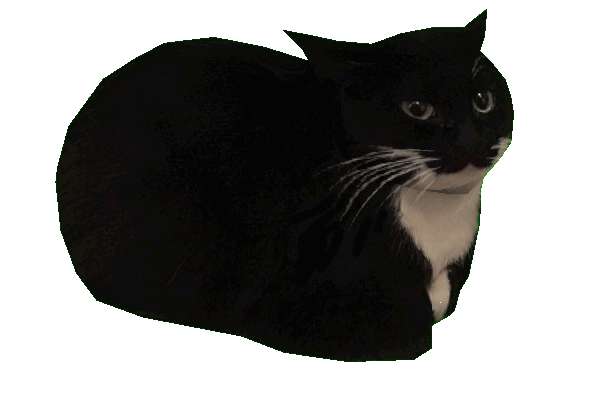 tumblr_e642b66f8548fa1485621bd82d3eacc9_af7dc108_640.gif