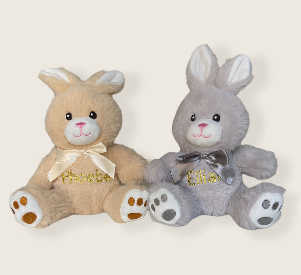 Thumbnail: Two plush bunnies with embroidered names Phoebe and Elina, on display.
