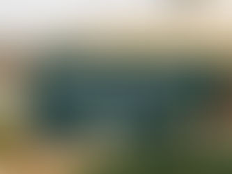 Dehydrated Vegetables (Onion and Garlic) Plant Project Report 2026: Setup Cost, Process Flow & Profit Analysis